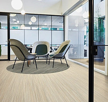 Forbo Marmoleum Striato 5253 bleached gold фото 3 | FLOORDEALER